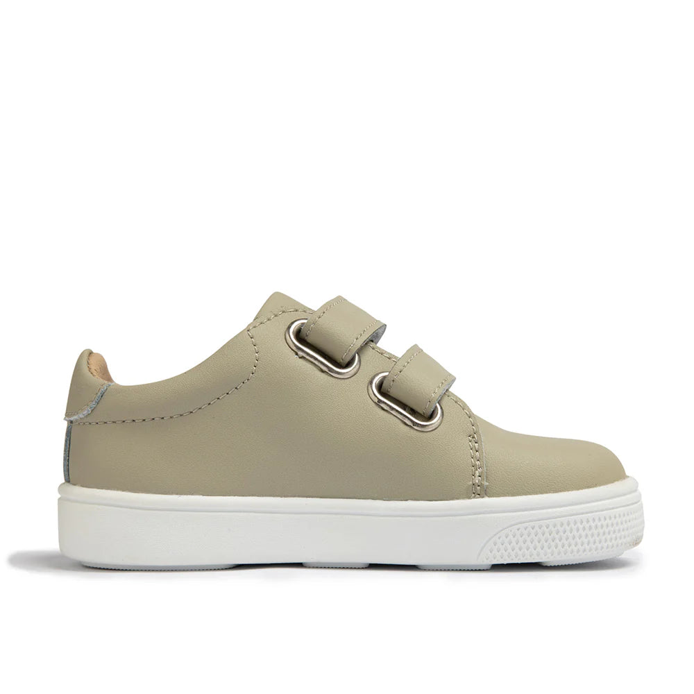 ShooShoos College Toddler Kids Shoes Leather Sneaker In Grey