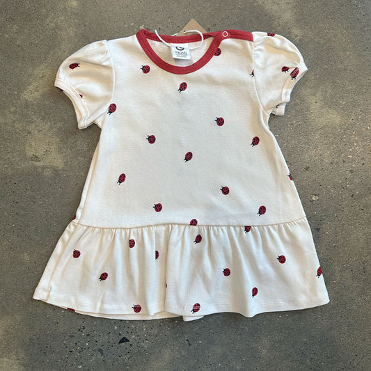 Green Cotton Group LadyBird Dress In Balsam Cream