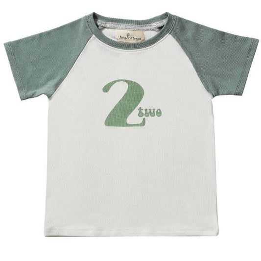 Tiny Victories Retro Birthday Tee "2"