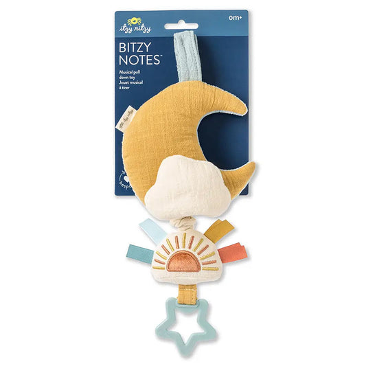 Itzy Ritzy Bitsy Notes Musical Pull-Down Toy Cloud / Sun